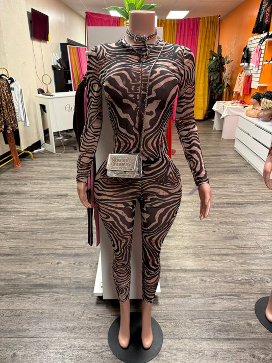 Nude Mesh Zebra Set